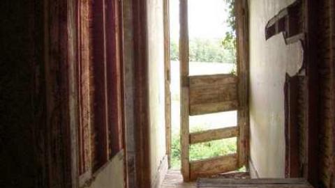 Photo from Turkey Vulture Time