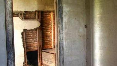 Turkey Vulture Time - 4.jpg