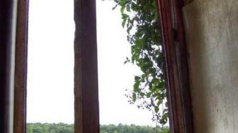 Turkey Vulture Time - 5.jpg