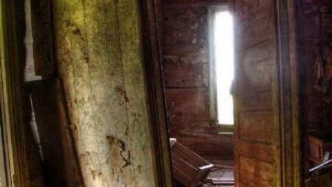 Turkey Vulture Time - 5a.jpg