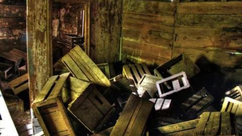 Turkey Vulture Time - 7a.jpg