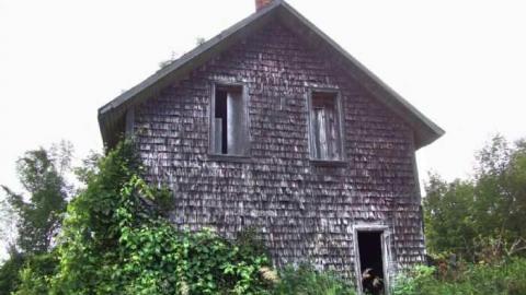 Turkey Vulture Time - 8.jpg