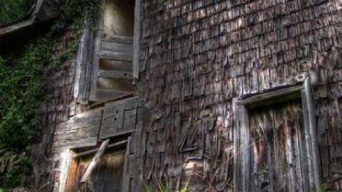 Turkey Vulture Time - 8a.jpg