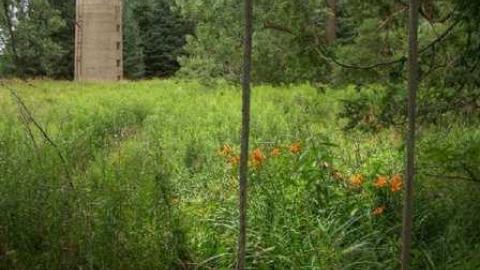 High Point of the Day - Highpoint-Of-The-Day230.jpg