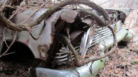 decaying vehicles - Decaying-Vehicles35.jpg