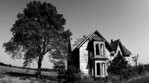 Several Visits - z1DSC00106.jpg