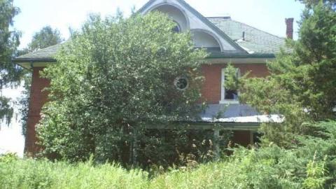 Dying Camera - DSC00312.jpg