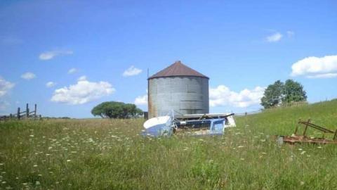 Dying Camera - DSC00313.jpg