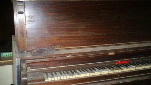 Dying Camera - DSC00321.jpg