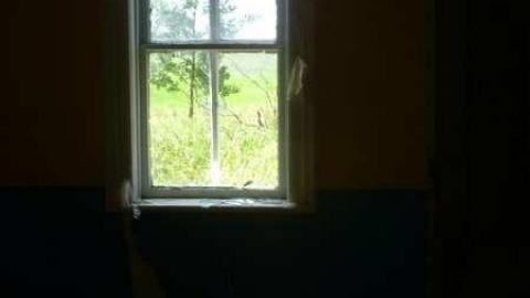 Dying Camera - DSC00327.jpg