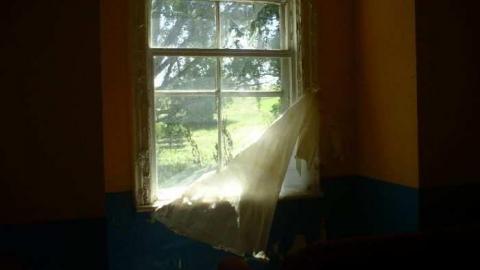 Dying Camera - DSC00328.jpg