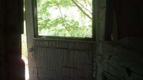 Dying Camera - DSC00330.jpg