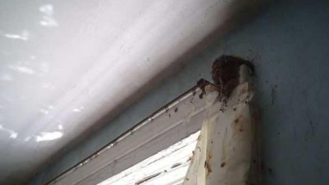 Dying Camera - DSC00331.jpg