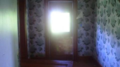 Dying Camera - DSC00333.jpg