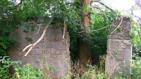 Chippawa Creek Ruin - Hidden-Ruin-by-Chippawa-Creek5.jpg