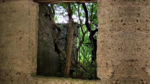 Chippawa Creek Ruin - Hidden-Ruin-by-Chippawa-Creek6.jpg