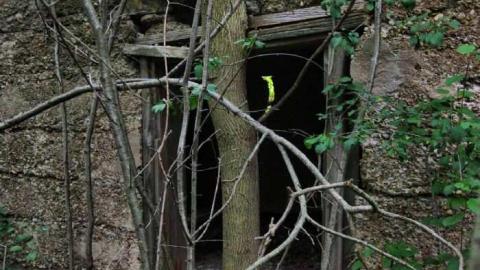 Chippawa Creek Ruin - Hidden-Ruin-by-Chippawa-Creek8.jpg