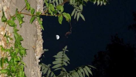 Chippawa Creek Ruin - Hidden-Ruin-by-Chippawa-Creek10.jpg