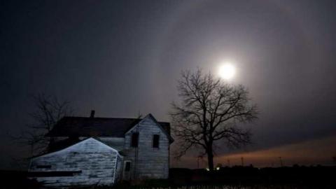 Several Visits - DSC05064.jpg