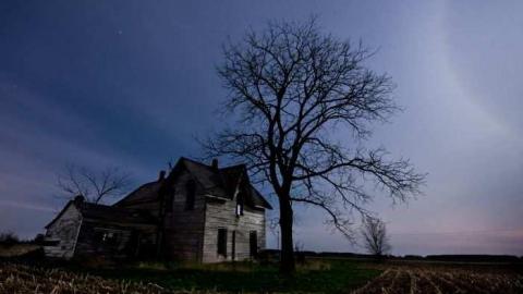 Several Visits - DSC05068.jpg