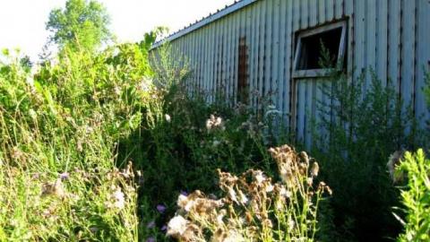 Fort Erie Racetrack Stables - Fort-Erie-Race-Track-Stables35.jpg