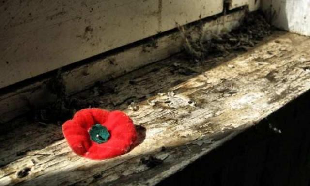 Fort Erie Race Track Stables photo 5