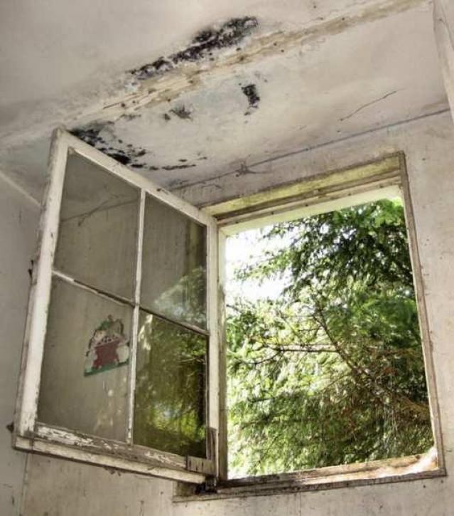 Fort Erie Race Track Stables photo 2