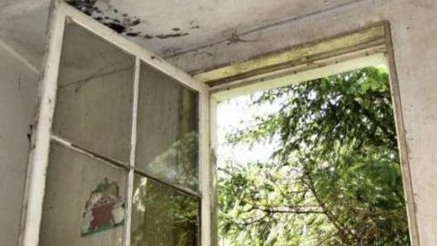 Fort Erie Racetrack Stables - Fort-Erie-Race-Track-Stables20.jpg