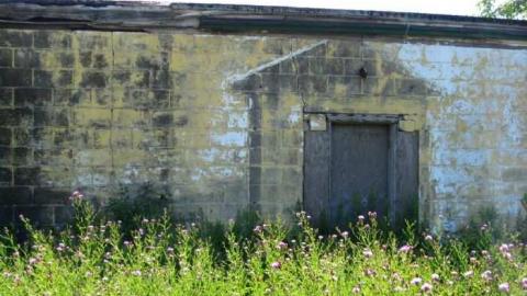 Fort Erie Racetrack Stables - Fort-Erie-Race-Track-Stables27.jpg