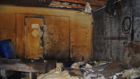 Conroy Auto Parts Recycling photo 4