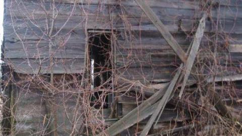 Gallery - Way-before-I-was-born23.jpg