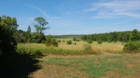 A Beautiful Castle - DSC_0013.jpg