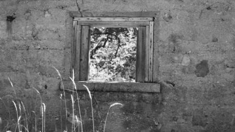 A Beautiful Castle - DSC_0022.jpg