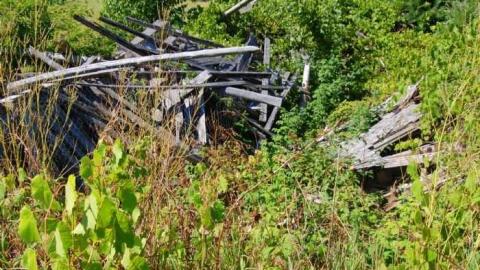 A Beautiful Castle - DSC_0024.jpg