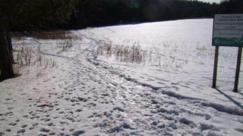 Gallery - Scanlon-Creek-Beach2.jpg