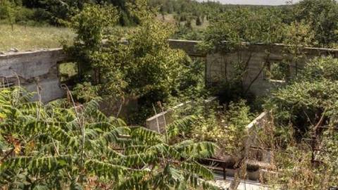 Photo from Wrigley Homestead