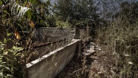 Photo from Wrigley Homestead