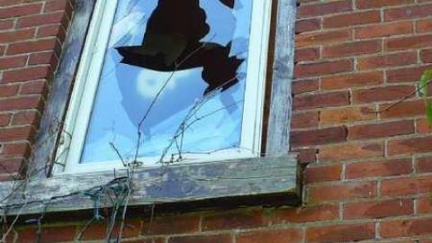 NO hope - P1080645.jpg