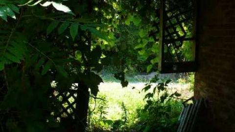 NO hope - P1080647.jpg