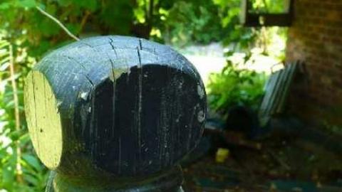 NO hope - P1080648.jpg