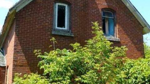 NO hope - P1080649.jpg