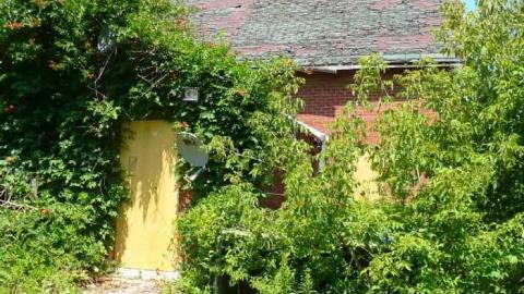 NO hope - P1080650.jpg