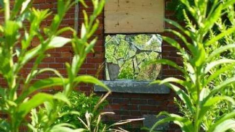 NO hope - P1080654.jpg