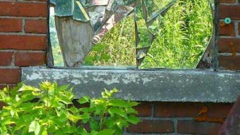 NO hope - P1080655.jpg