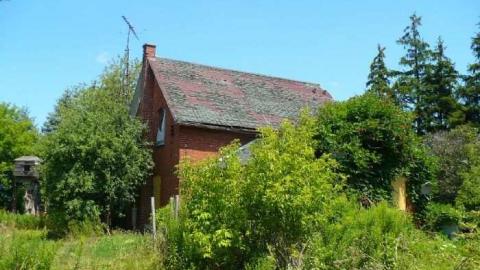 NO hope - P1080656.jpg