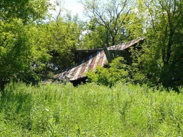 No Hope In Renforth photo 2