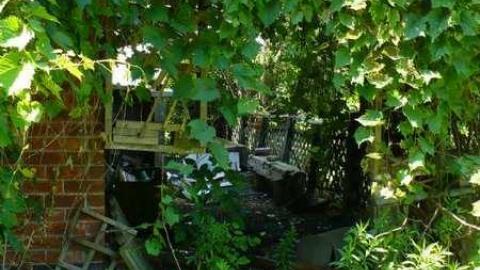 NO hope - P1080662.jpg