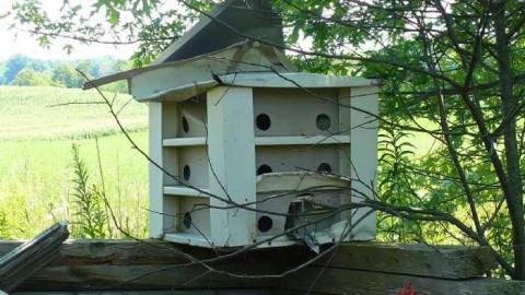 NO hope - P1080661.jpg