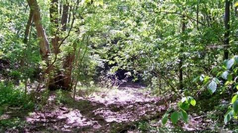 Great Western Rail Tunnel - Blue-Ghost-Tunnel--Merritton101.jpg