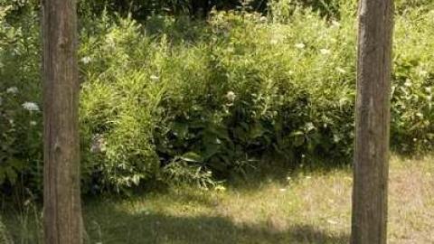 Ballycroy (ghost town) cover photo